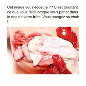 image.jpeg