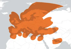 EUTELSAT_KA-SAT_9A_Ka-band_Combined_Downlink_Coverage.png