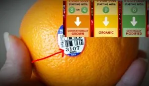 Orange-PLU.jpg