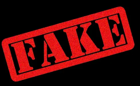 Fake-.png