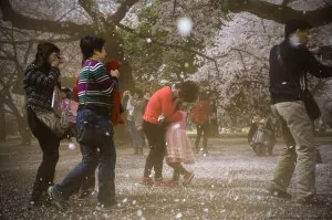 spring-japan-cherry-blossoms-national-geographics-171.jpg