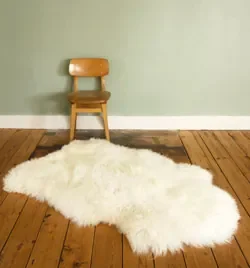 image.jpeg