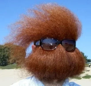 Barbe.jpg