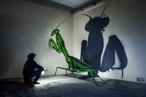 Odeith6.jpg