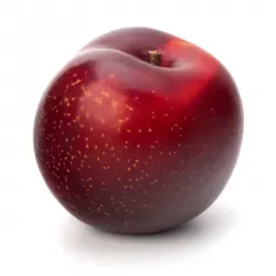 20140129_90620047752e8f2f6026bc.png