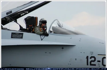 hornet.jpg