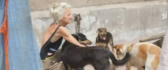 n-DAME-AUX-CHIENS-large570.jpg