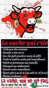 e8caec3e364b822324c9b7e57660bd69.jpg