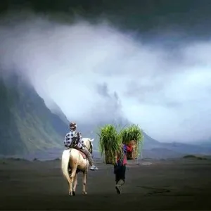 Going home.......by Anli Cheng.jpg
