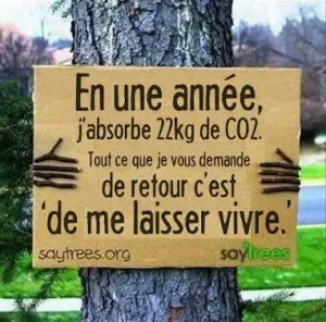 2016 - 1 (2).jpg