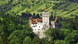 image12.jpg