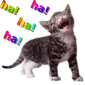 3093346193_1_5_7eL8ub9o.gif