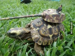Its-a-Tortoise-Quick-get-the-AT-weaponry.jpg