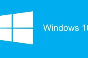 windows.jpg