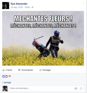 crs-mechantes-fleurs.png