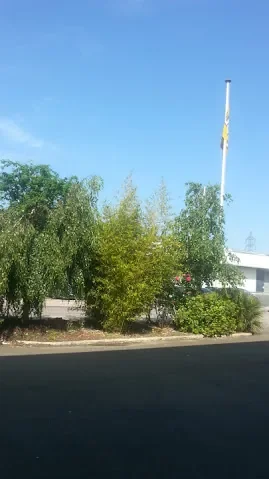 Ciel bleu.jpg