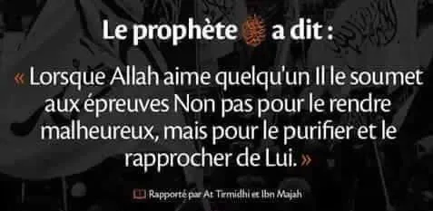rappel54.jpg
