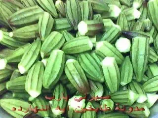IMG0823A.jpg