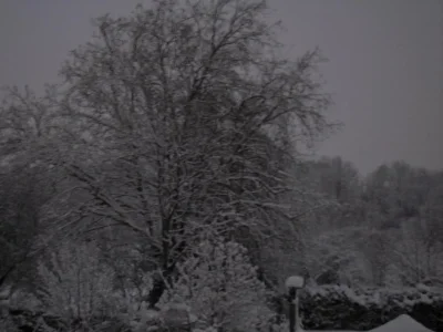 jardin.jpg