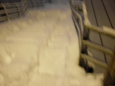 escalier.jpg