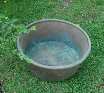 43673763.jpg