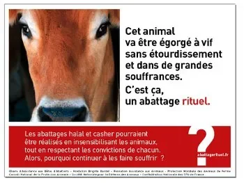 affiche_campagne-abattage-16c65.jpg