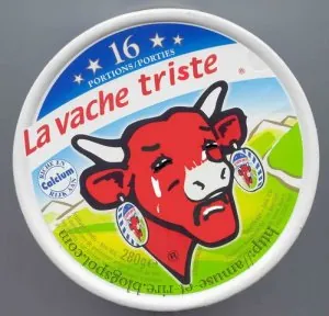288788_FB1C1CJIOZYWGZBE36M1KR3XWOX5GY_vache_qui_pleure_H194219_L.jpg