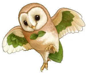chouette.png