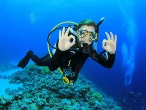 Plongee-sous-marine-a-la-recherche-de-Nemo_width620.jpg