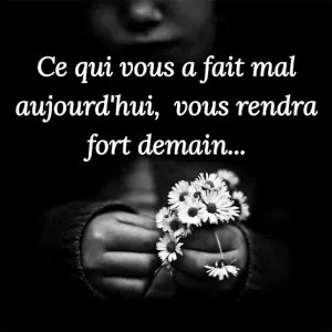7bf5d051-8435-42dd-bd88-f36f413110ff.jpg