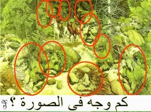 chercher-visages.jpg