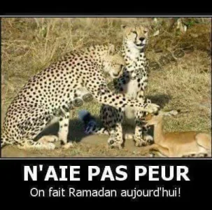 FB_IMG_1466032608314.jpg