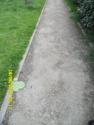 010.JPG