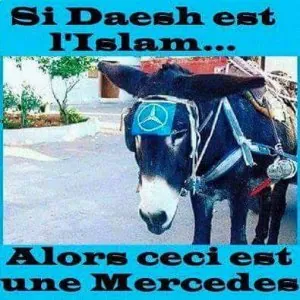2016 - 1 (10).jpg