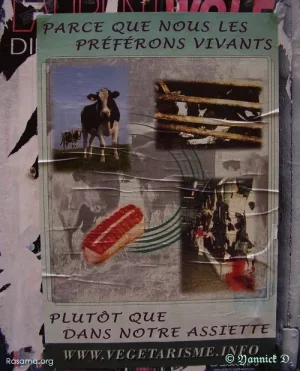 affiche-vegetarien-P5170091.jpg