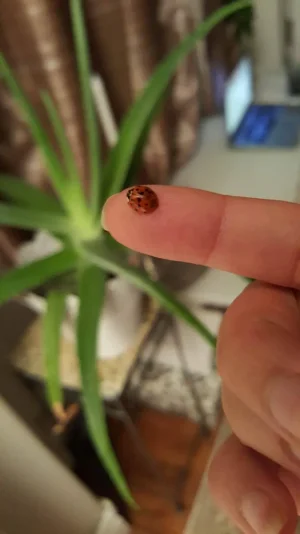 received_10201895991358647.jpeg