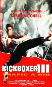 kickboxer3-3.jpg