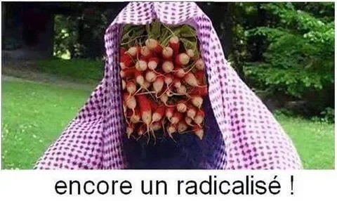 upload_2016-7-7_20-18-17.png