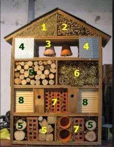 abris insectes.JPG