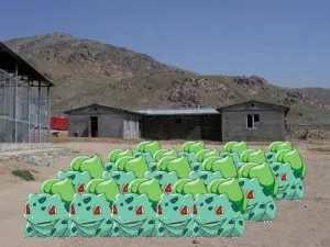 secret-pika-chu-rows.jpg