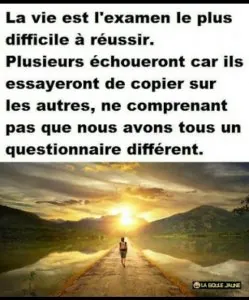 2016 - 1 (2).jpg