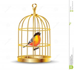 cage-d-oiseau-d-avec-l-oiseau-l-intrieur-25799768.jpg