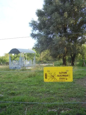 cloture-electrique.jpg