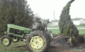 tracteur-vs-cypres.gif