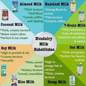 nondairy-milk-substitutes.jpg