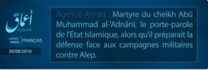 EIannoncefr.JPG