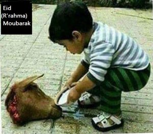 Le petit te souhaite Eid (R'rahma) Moubarak.jpg