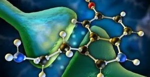 serotonine_sol_naur.jpg