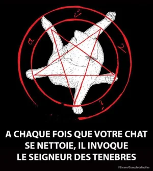 chat.jpg