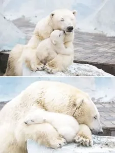 ours7.jpg